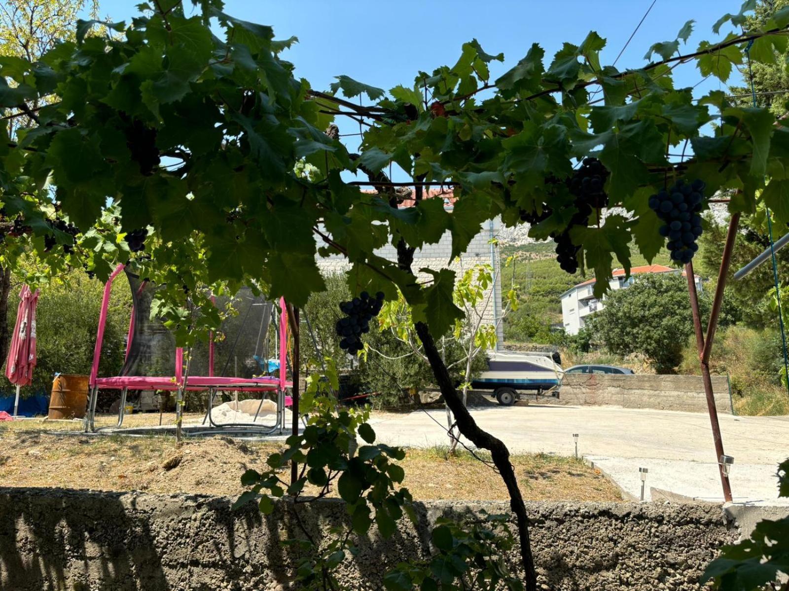 M&M Pelivan Apartments Solin Exterior photo